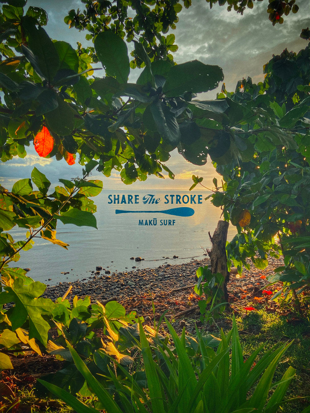 T-shirt - Share the Stroke