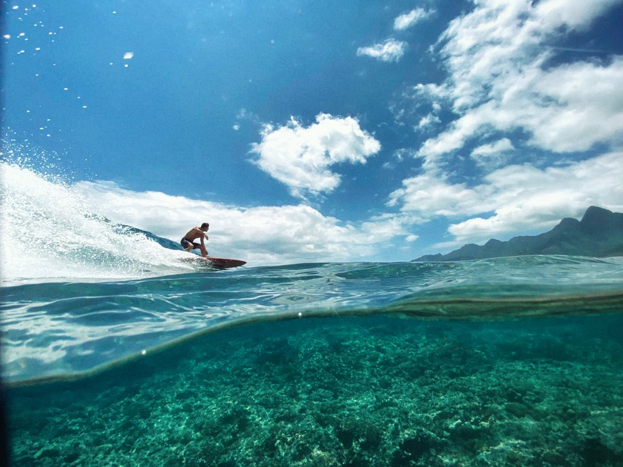 Surf EPOXY