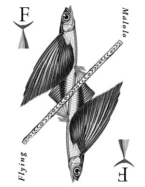 MAKU Surf Retro Flying Malolo Twin Fish